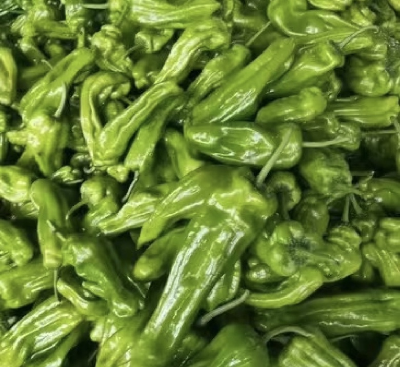 圆菜椒特写图片