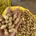 花生鲜花生江苏花生精品过筛花生颗粒饱满自家种植
