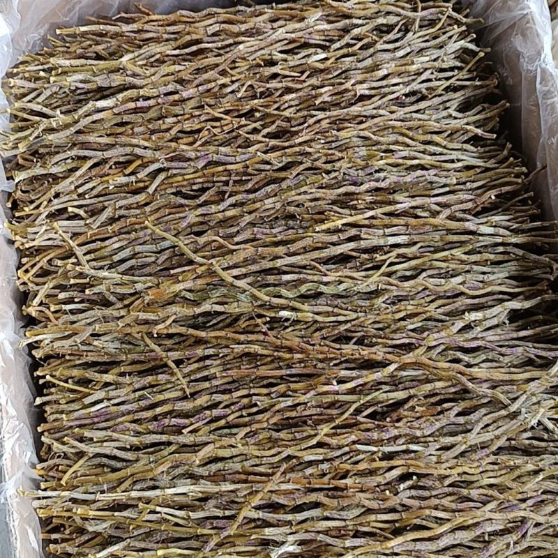 云南高原种植正宗铁皮石斛干条铁皮胶质多无渣干货石斛煲汤