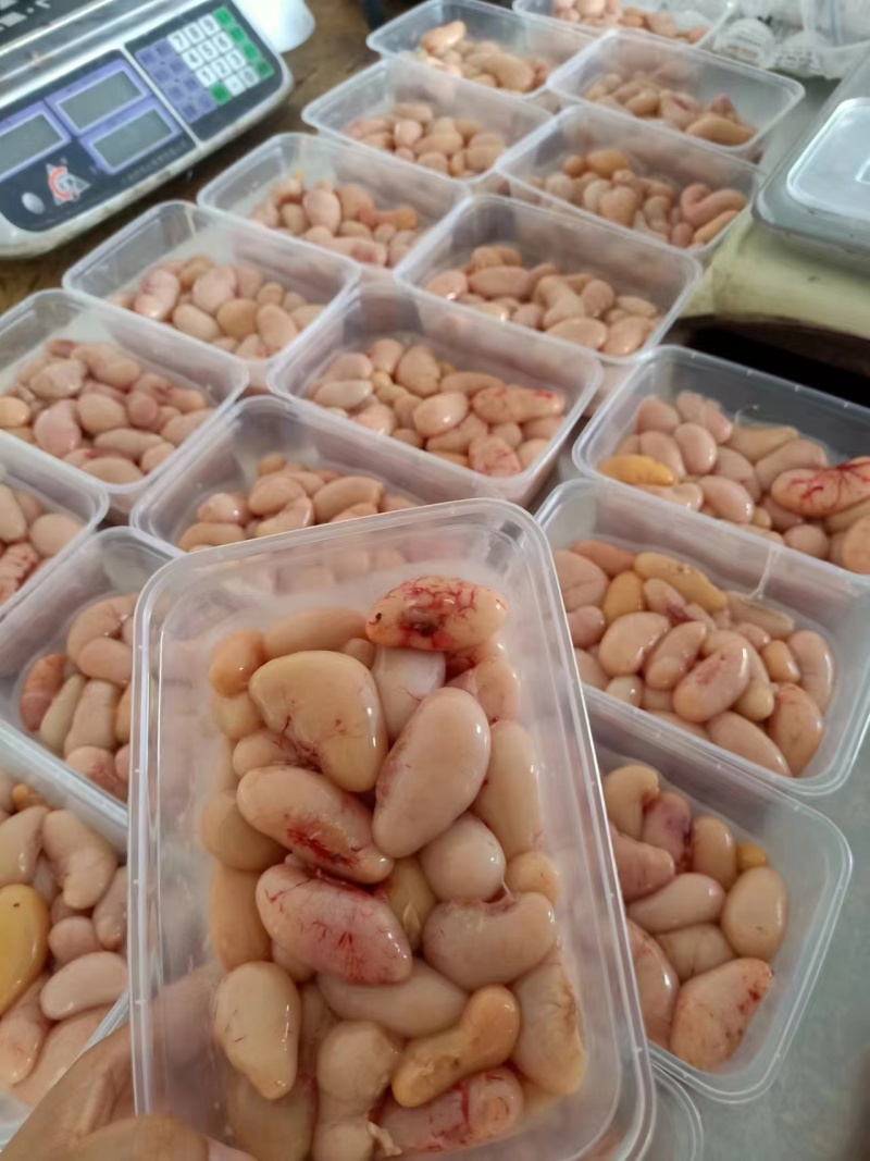 广东清远新鲜大鸡子，工厂直供欢迎来电咨询
