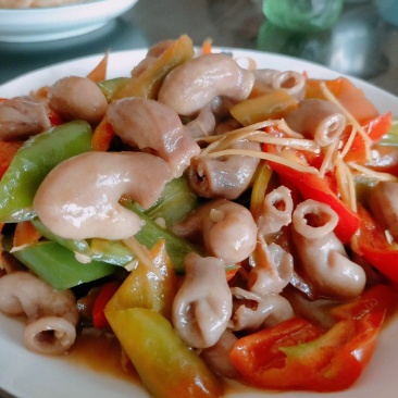 石斑鱼肚