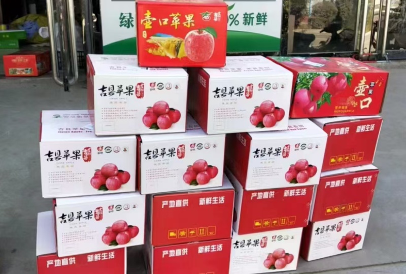 山西早熟红富士苹果大量现货上市量大从优一条龙服务