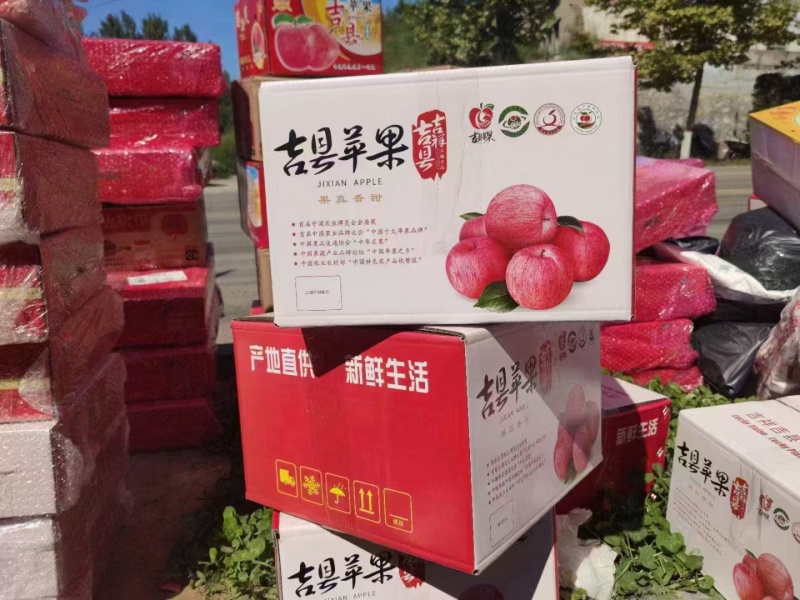 山西早熟红富士苹果大量现货上市量大从优一条龙服务