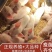 仔猪，太湖猪，大白种猪，长白猪，大小猪，母猪公猪，全国发