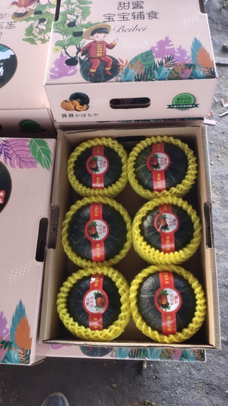 礼盒装贝贝南瓜，中秋送礼大酬宾