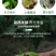 发酵牛粪发酵腐熟完全不烧根苗茂丰肥业