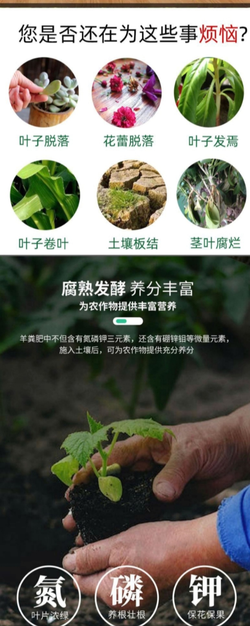 发酵牛粪发酵腐熟完全不烧根苗茂丰肥业