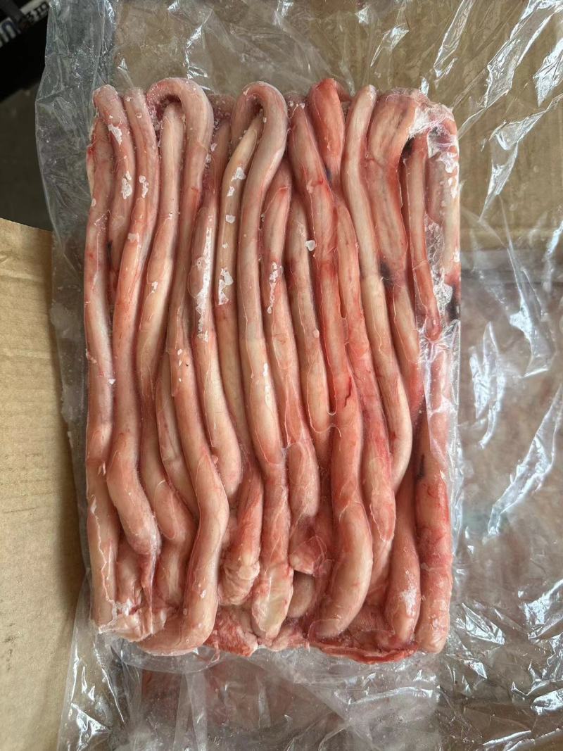 大条猪鞭
