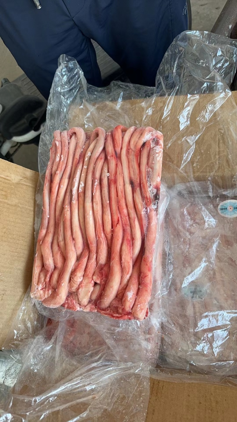 大条猪鞭