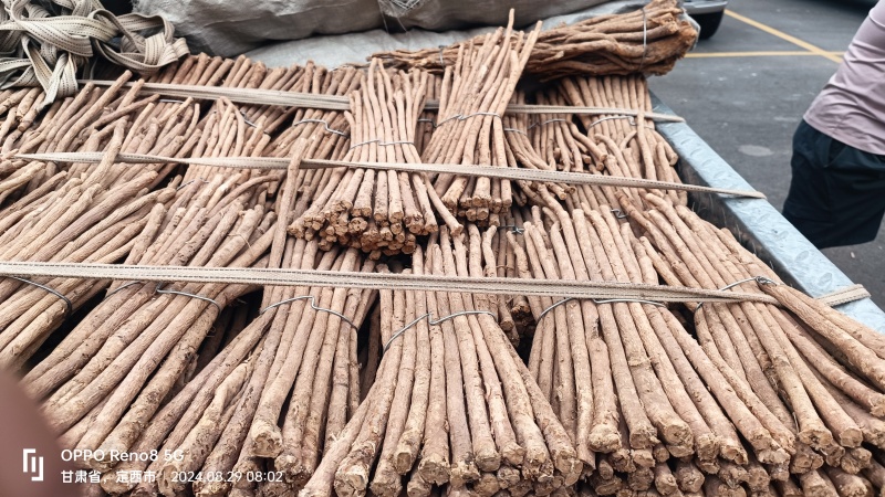 黄芪产地直发规格齐全24小时在线服务品质保证