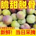 四川正宗脆红李大量上市，长期稳定供货保质保量错过再等一年