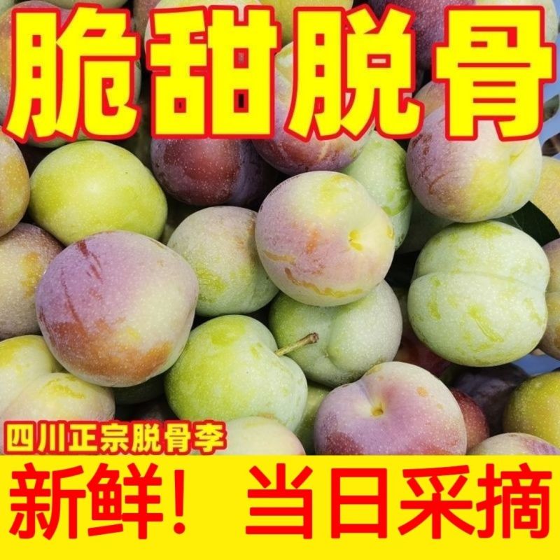 四川正宗脆红李大量上市，长期稳定供货保质保量错过再等一年