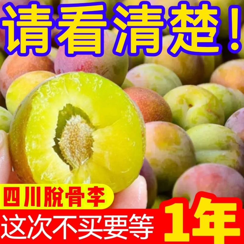 四川正宗脆红李大量上市，长期稳定供货保质保量错过再等一年
