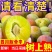 四川正宗脆红李大量上市，长期稳定供货保质保量错过再等一年