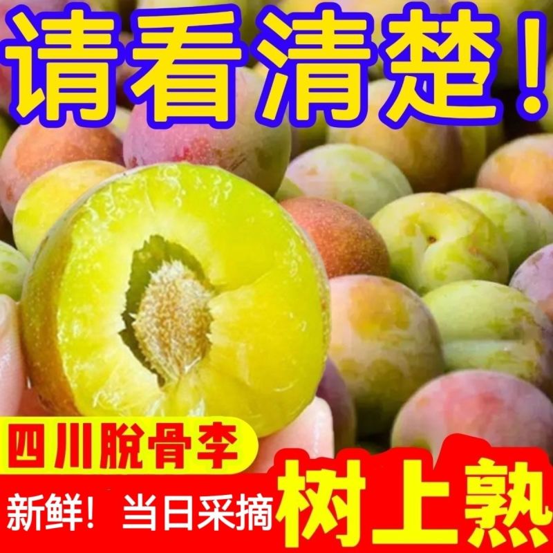四川正宗脆红李大量上市，长期稳定供货保质保量错过再等一年