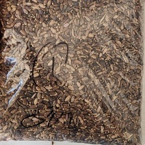 收售水飞蓟