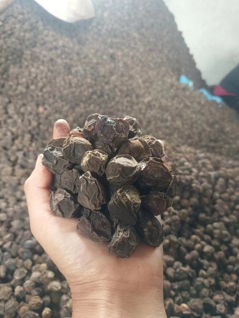大理农户一手乌梅