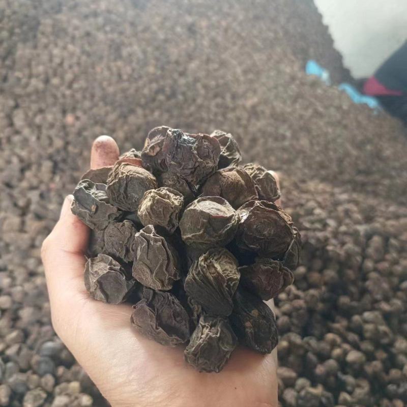 大理农户一手乌梅