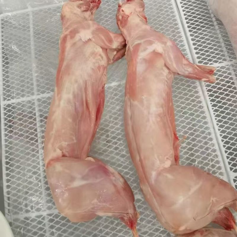 新鲜兔肉白条兔猫狗宠物饲料高蛋白低脂肪品质保证量大从优