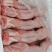 新鲜兔肉白条兔猫狗宠物饲料高蛋白低脂肪品质保证量大从优