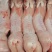新鲜兔肉白条兔猫狗宠物饲料高蛋白低脂肪品质保证量大从优