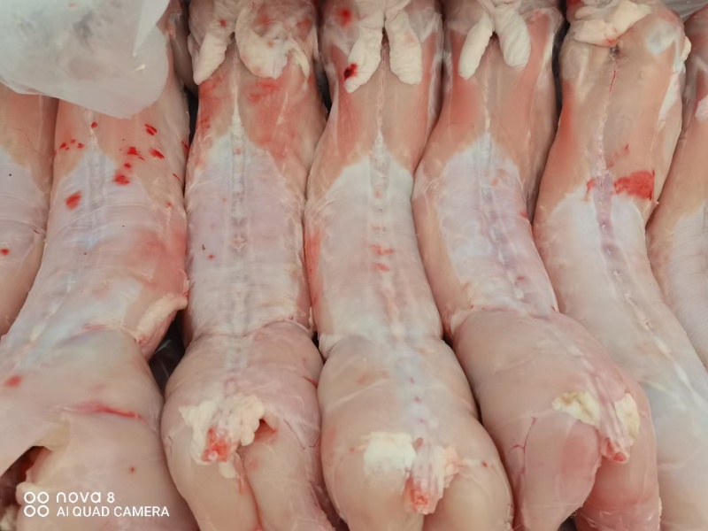 新鲜兔肉白条兔猫狗宠物饲料高蛋白低脂肪品质保证量大从优