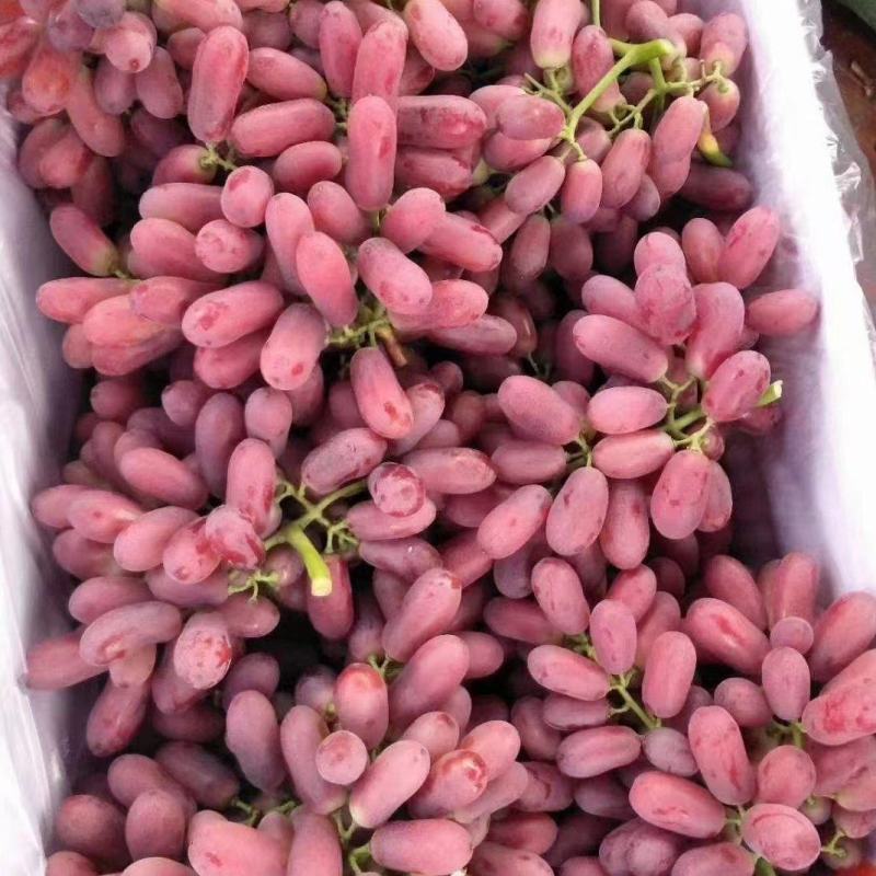 红提批发量大价优