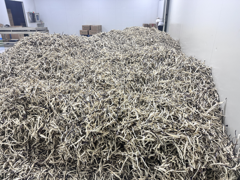 2026年精品茄子片/丝茄子干茄子片自然风干蔬菜