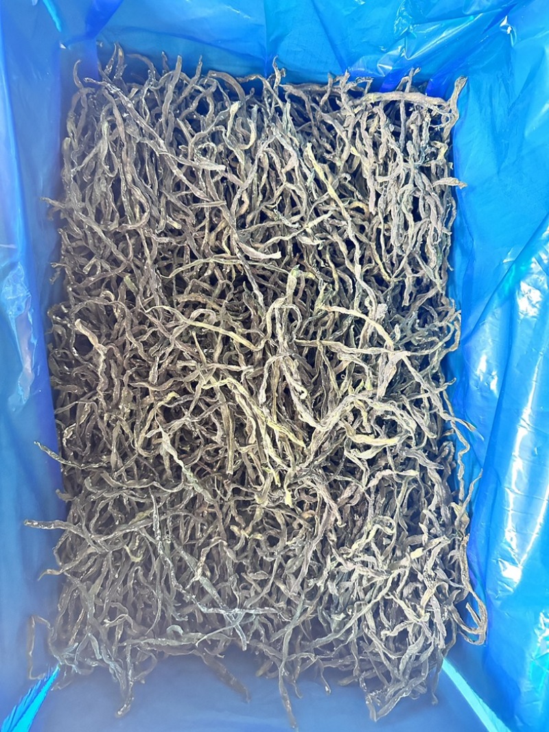 2024年新品架豆王无筋豆脱水蔬菜干货