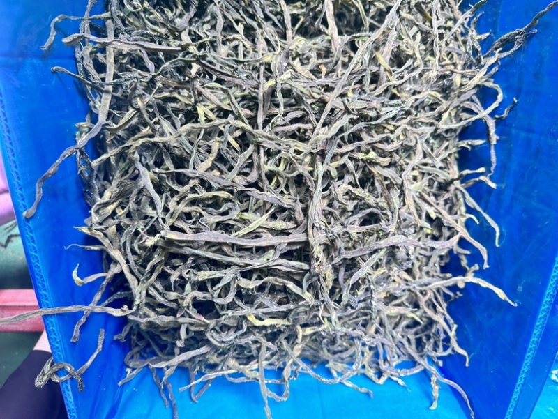 2024年新品架豆王无筋豆脱水蔬菜干货