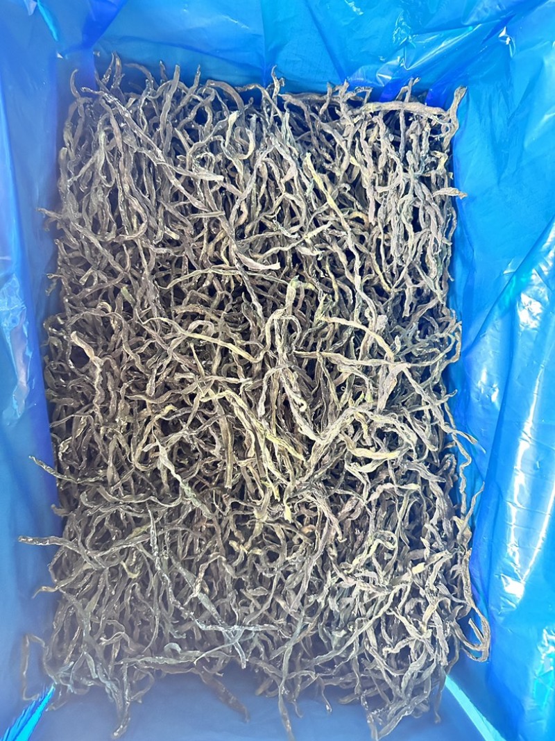 2024年新品架豆王无筋豆脱水蔬菜干货
