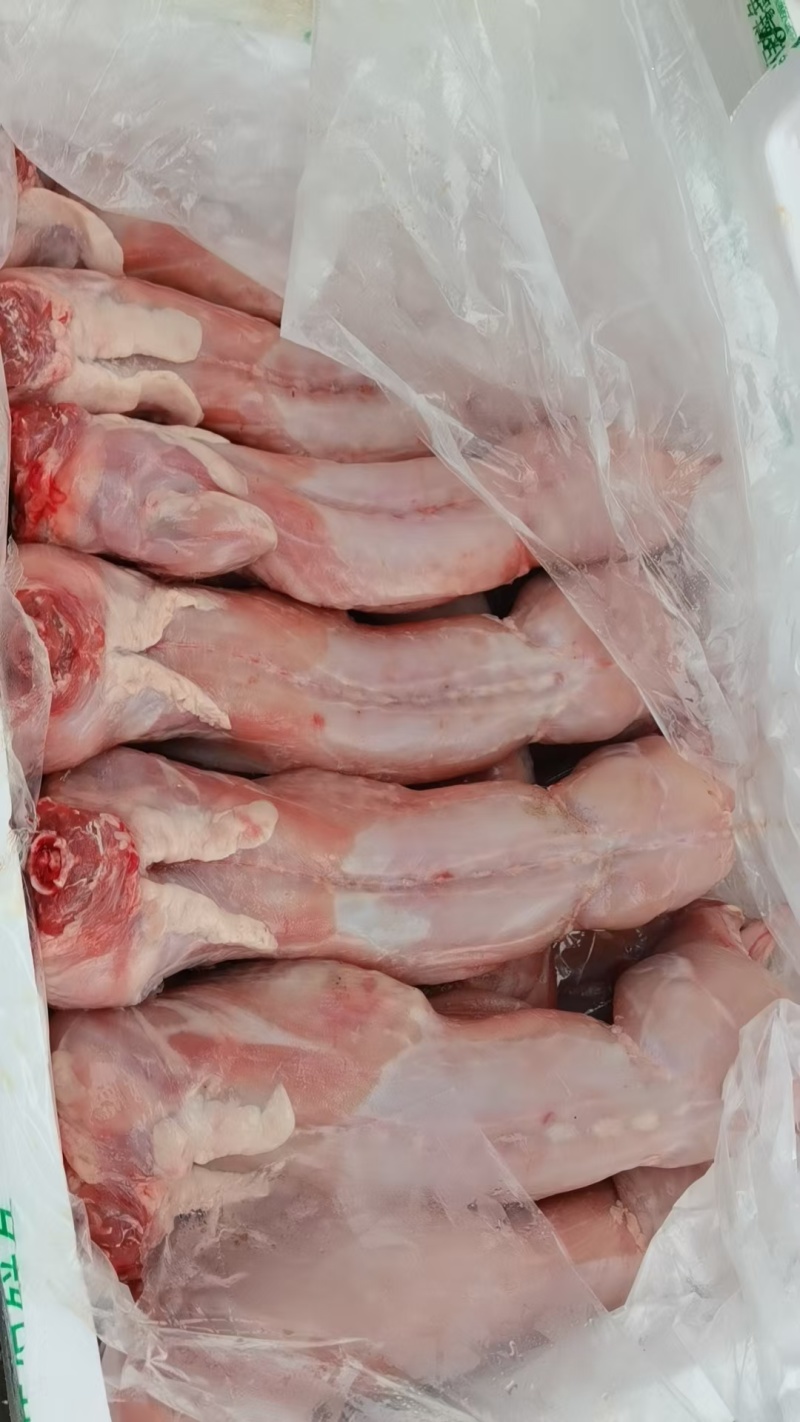 剥皮新鲜速冻兔肉，保鲜兔，烫皮兔，白条兔兔肉