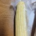 速冻水果玉米粒，青稞玉米碴，真空玉米棒