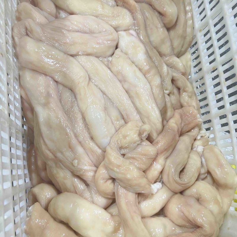 国产高品质牛肠系列一手货源质量保证欢迎咨询