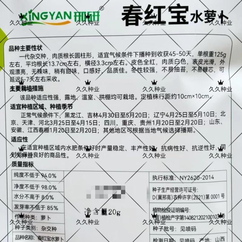 春红宝水萝卜种子种籽红皮白心水果罗卜籽种籽
