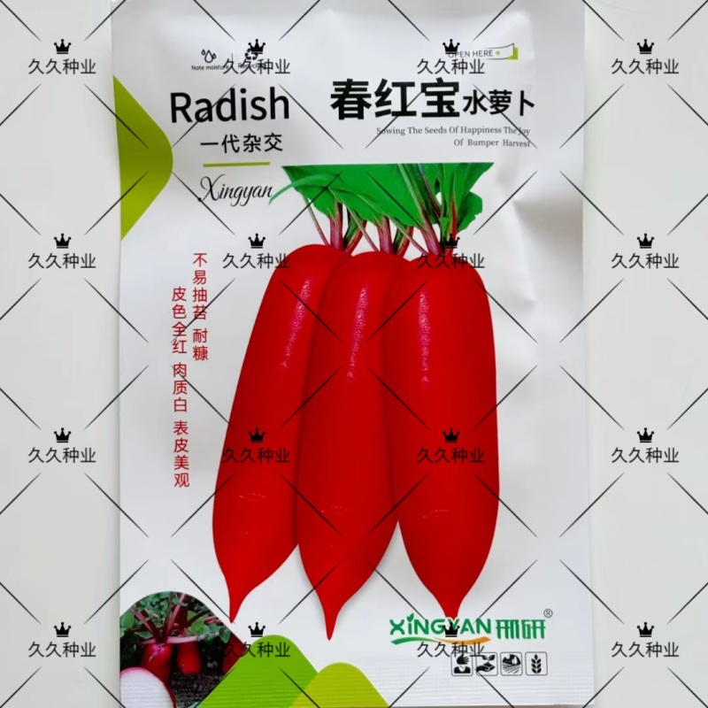 春红宝水萝卜种子种籽红皮白心水果罗卜籽种籽