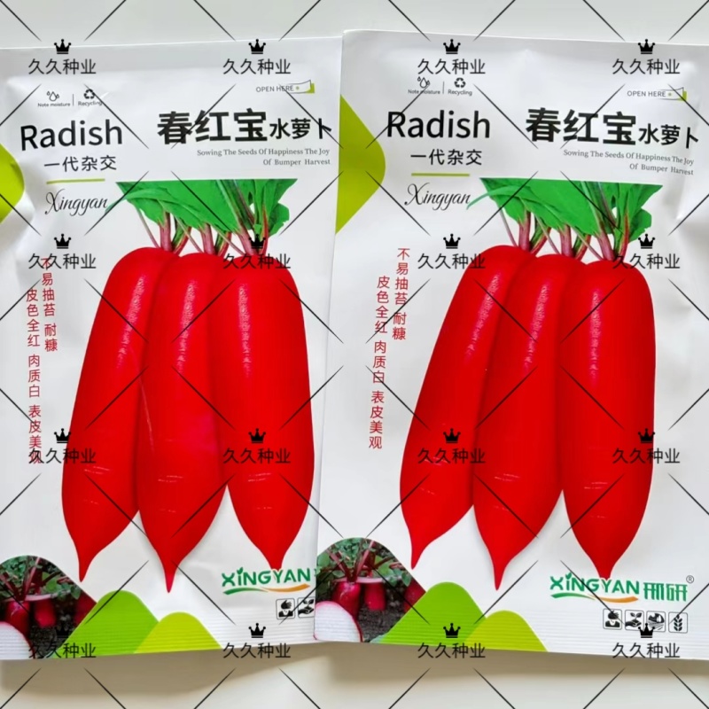 春红宝水萝卜种子种籽红皮白心水果罗卜籽种籽