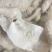 国产高品质牛肠系列一手货源质量保证欢迎咨询
