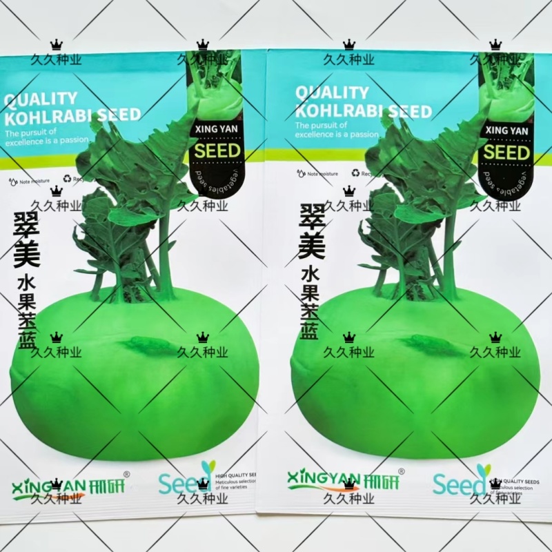 翠美水果苤蓝种子薄皮翠绿甜脆高产抗病商品性佳农家春秋播种