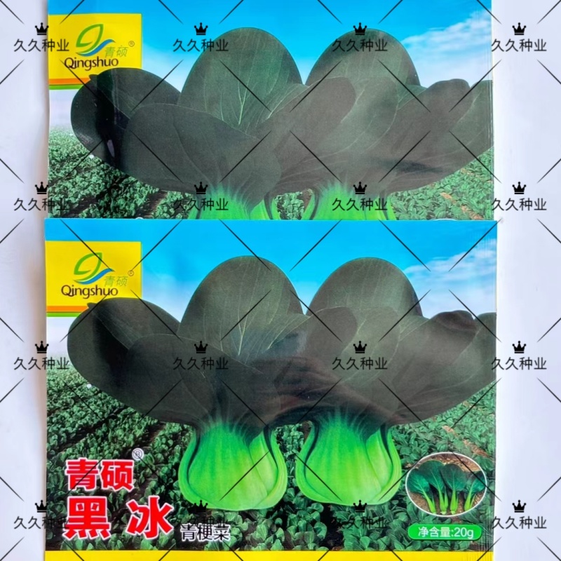 青硕黑冰青梗菜种子青菜籽耐热耐寒蔬菜基地菜园四季播种