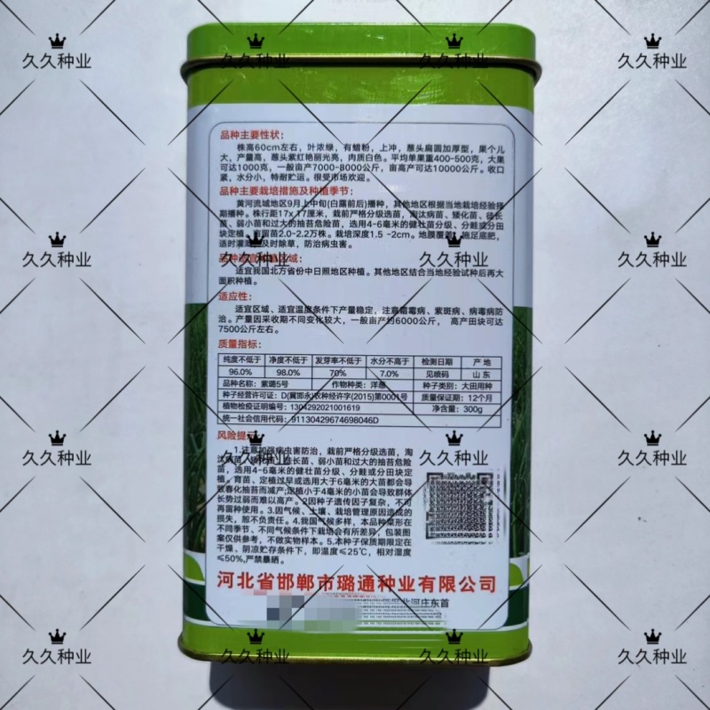 紫璐5号洋葱种子高产优质扁圆紫红皮洋葱种籽农家春秋播