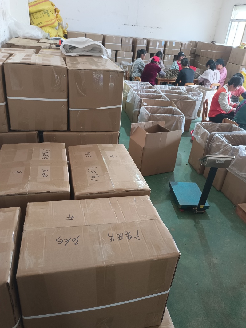 化橘红大量现货供应，品质保证，可视频看货，欢迎电联