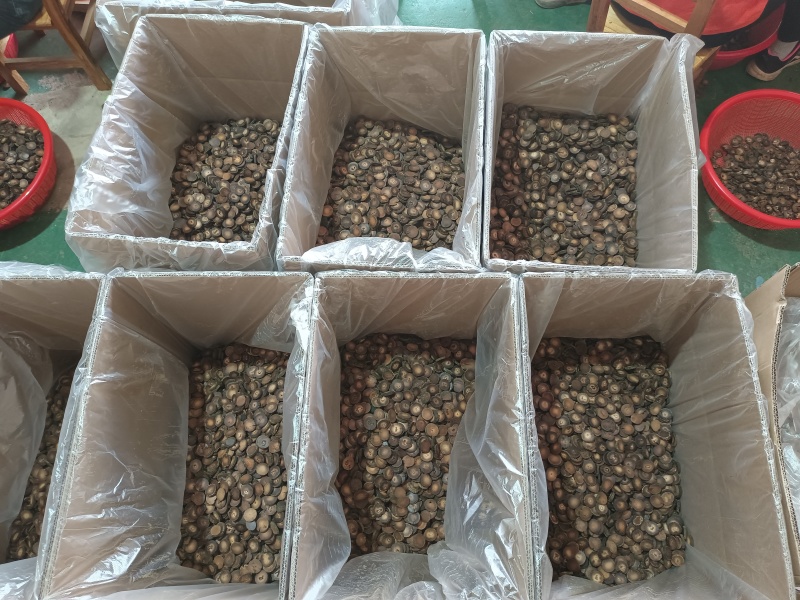化橘红大量现货供应，品质保证，可视频看货，欢迎电联