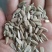 葵花籽，国产葵花籽，进口葵花籽常年有货