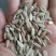 葵花籽，国产葵花籽，进口葵花籽常年有货