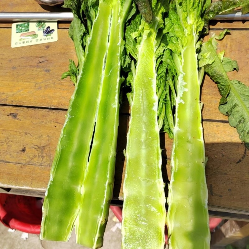去皮莴笋肉，三青莴笋杆子，三青莴笋，产地直发，真空包装