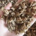百部祥泰药材栈中药材批发零售实物拍摄量多从优欢迎咨询