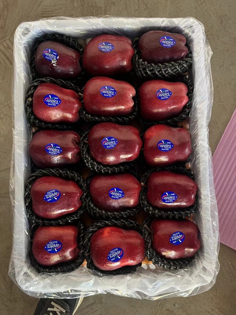 甘肃秦安精品高山花牛已上市。