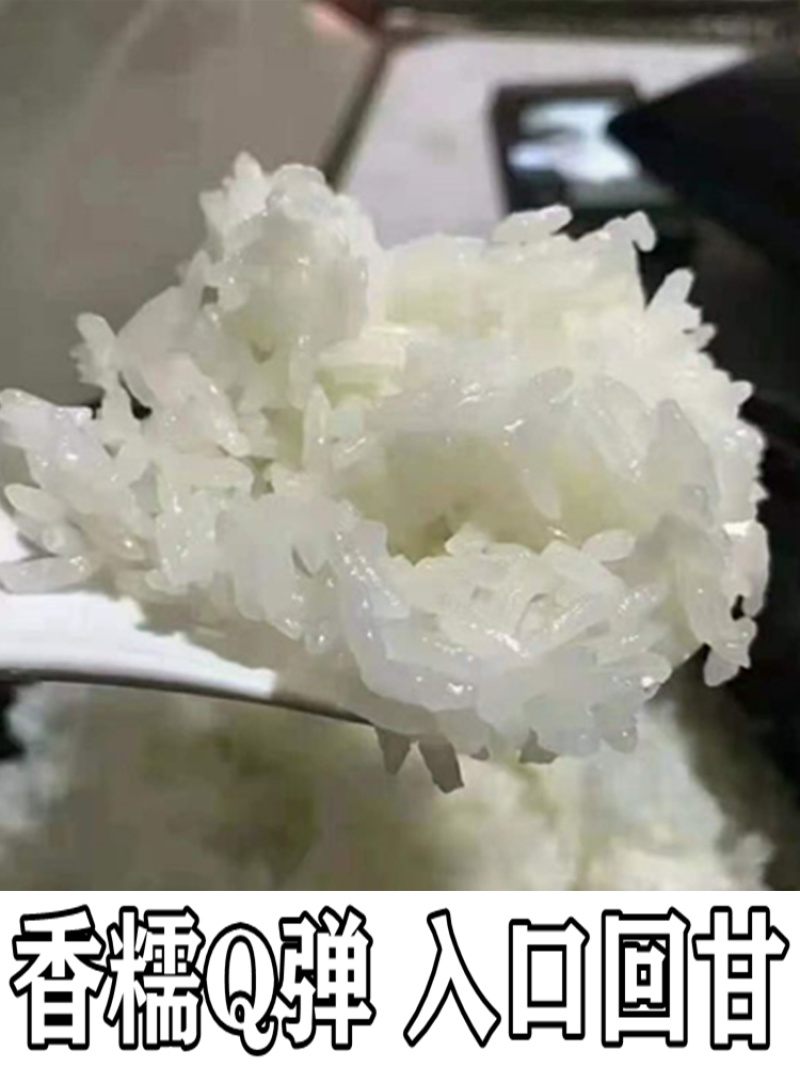 五常稻花香二号大米产地直发保证质量，量大优惠对接市场