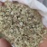 白芷种子，白芷子，5斤以上非边远地区包邮！